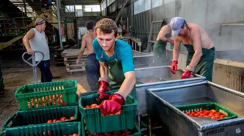 Rządowa nowelizacja ustawy dotyczącą pracowników tymczasowych weszła w życie w czwartek. 