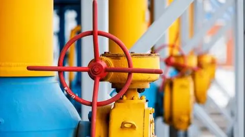 To może być koniec 50-letniej współpracy Rosji i Austrii
