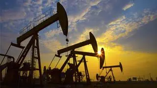 OPEC zarobi mniej w najbliższych latach?