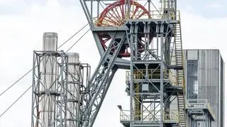 Tobiszowski: mniejsza strata PGG