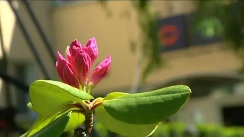 Związki mało partnerskie