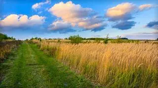 Związek Banków Polskich apeluje o zmiany w projekcie ustawy o ziemi