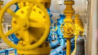 Bułgarzy dywersyfikują dostawy gazu