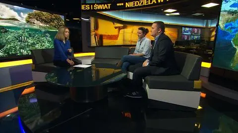 Propozycje świątecznych wyjazdów