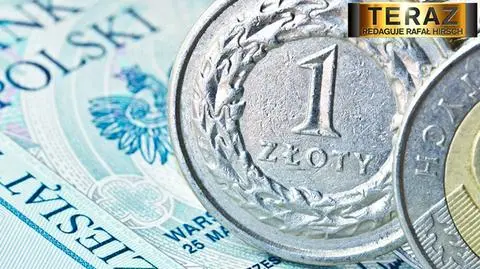 30.01 Huśtało, huśtało i przestało. WIG w górę