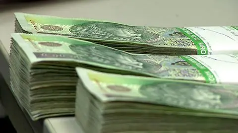 Złoty ma się dobrze