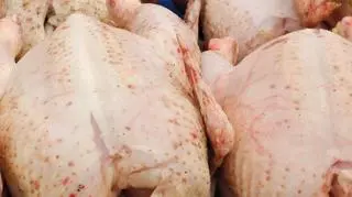 Branża drobiarska - polscy producenci odgrywają czołową rolę w Unii Europejskiej