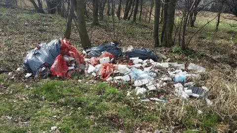 NIK uderza w ustawę śmieciową. "Rosną koszty i ilość dzikich wysypisk"