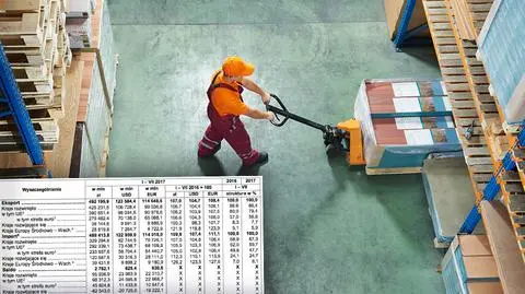 Handel zagraniczny w Polsce w okresie styczeń-lipiec 2017