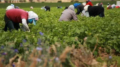 O 100 proc. wzrosła liczba oświadczeń o pracy dla cudzoziemców