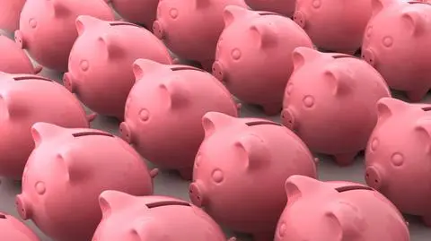 Oręziak: reforma OFE jest niewystarczająca