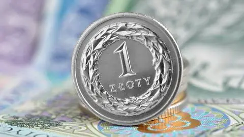 Złoty złotówka