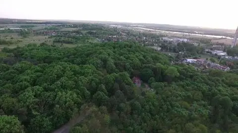 Ruszyła pomoc na zalesienie gruntów