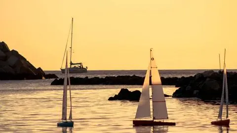 Goście cyklu "Pokaż nam świat" w TVN24 BiS opowiadali o swoim projekcie