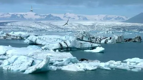 GoArctic - program zachęcający do inwestycji na Arktyce