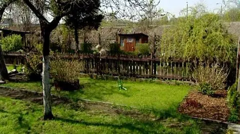 "Biznes dla ludzi" w TVN24 Biznes i Świat