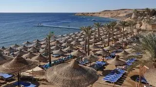 Sprzedaż wycieczek do Sharm el-Sheikh w porównaniu z ubiegłym rokiem (zanim została zawieszona) urosła już o 15,3 proc.