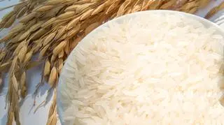 Tajscy studenci opłacają czesne ryżem