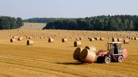 Rząd przyjął rozporządzenie ws.kredytów obrotowych dla rolników