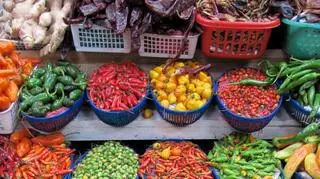 Nowicka poinformowała, że projekt oparty jest na trzech filarach