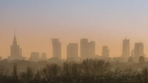 Emilewicz: jakość powietrza w miastach poprawi się w ciągu pięciu lat