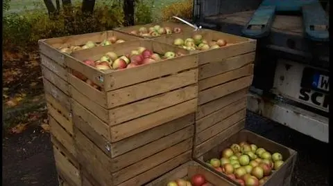 "Puls Biznesu": Jabłkowy deficyt wymusił import
