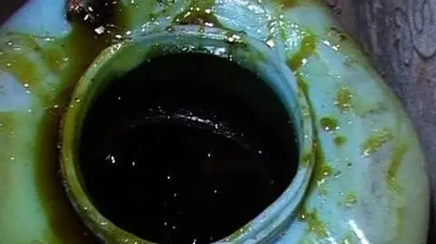 Biopaliwa zrujnują środowisko i portfele?