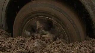 Trudno kupić w polskim salonie mały bądź średni samochód bez… kolejki. Udane lato w polskich salonach samochodowych – już nie tylko reeksport, ale także popyt krajowy ze strony indywidualnych klientów i firm pozwala dilerom szybko poprawiać tegoroczny wynik. Czy małe samochody wyciągną branżę motoryzacyjną z kryzysowego grzęzawiska?