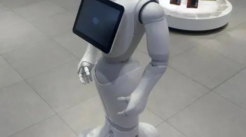 Pijany mężczyzna zaatakował robota