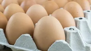 Ptasia grypa doprowadziła do wybicia ok. 6 mln szt. kur niosek