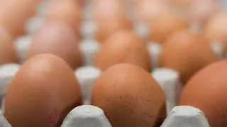 Dla branży upadek jednego z większych producentów jaj to wzrost ich cen i wyższa rentowność