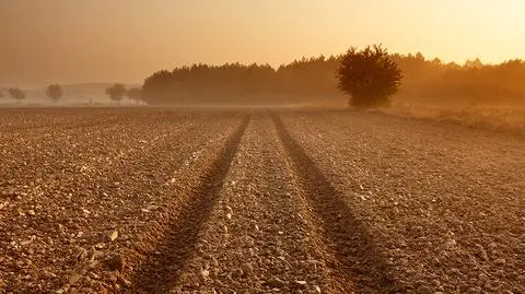 Sprzedaż gruntów rolnych będzie łatwiejsza