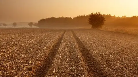 Sprzedaż gruntów rolnych będzie łatwiejsza