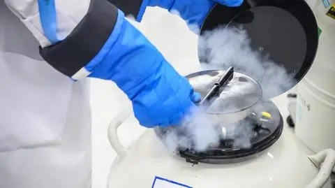 "Drugie życie" dzięki zamrożeniu? Materiał TVN24 BiS