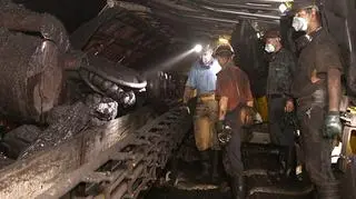 Koniec lipca lub początek sierpnia to realny obecnie termin utworzenia tzw. Nowej Kompanii Węglowej – wynika z informacji prezesa Kompanii Węglowej Krzysztofa Sędzikowskiego