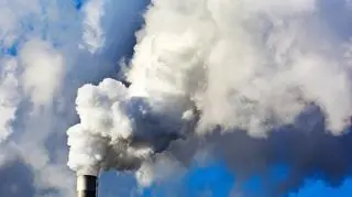 Pod koniec roku w Paryżu odbędzie się światowa konferencja klimatyczna, na której ma być ustalony nowy globalny traktat na rzecz walki z ociepleniem klimatu