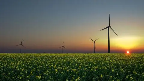 Najwięcej farm wiatrowych jest w Chinach
