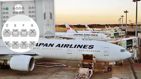 Rezerwacja biletów w Japan Airlines. Ikona pokaże, gdzie siedzą małe dzieci