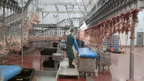 Jak wygląda praca Polaków na emigracji? 