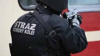Straż Ochrony Kolei zyska nowe uprawnienia?