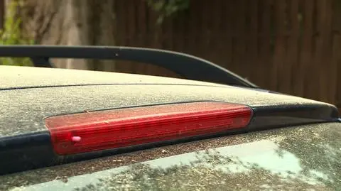 Karoseria pokryta żółtym pyłem