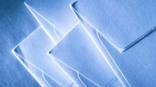 Komisja Europejska nałożyła 19,4 mln euro kary na pięć firm produkujących koper