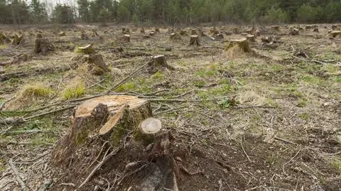 W poniedziałek 29 lipca wypada tzw. dzień długu ekologicznego