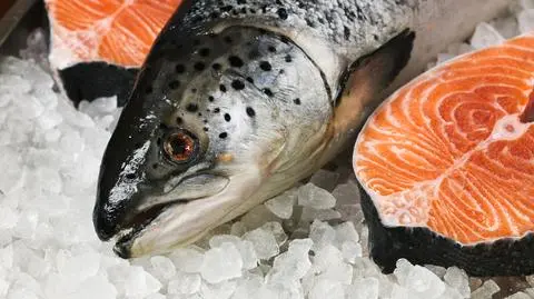 Łososie prosto z Polski. Mamy ambitne plany