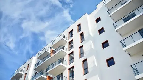 Liczba mieszkań oddanych do użytkowania w 2019 roku. Dane GUS