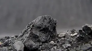  W środę rząd zdecydował o wniesieniu do 100 proc. akcji Kompanii Węglowej do spółki Towarzystwo Finansowe Silesia. Ma to być podstawą dla budowy silnego koncernu paliwowo-energetycznego