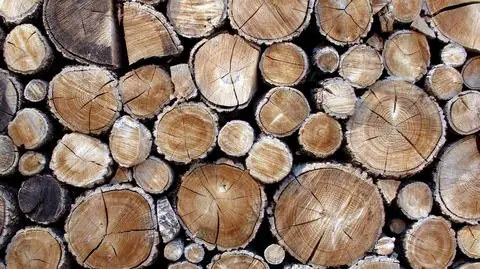 Drewno było sprzedawane według niekonkurencyjnych zasad