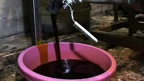 Lepper: albo biopaliwa, albo koniec koalicji