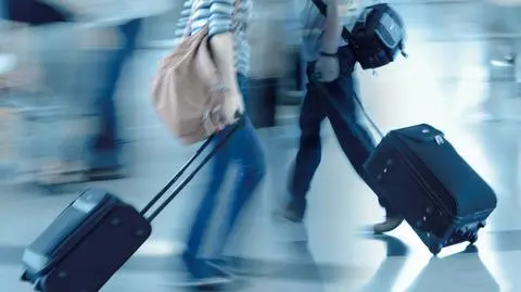 Towary z zagranicy. KAS: przywożenie żywności pochodzenia zwierzęcego spoza UE jest zabronione