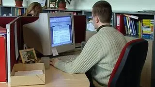 Informatycy są na wagę złota na rynku pracy
